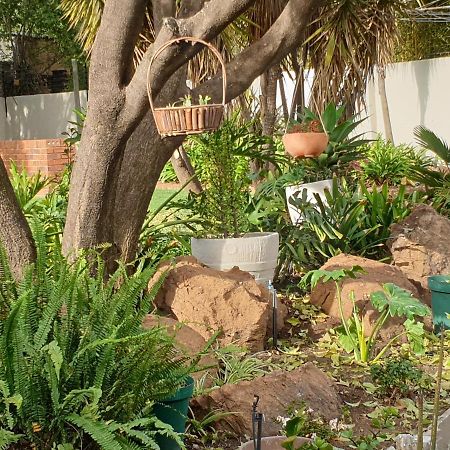 Elephant Bush Guest Cottage Alberton Exterior foto